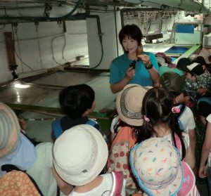 水族館4