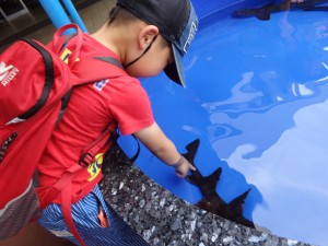 水族館2