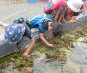 水族館3