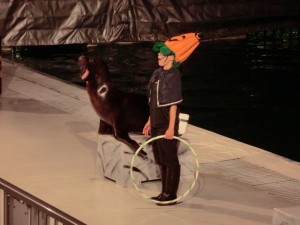 水族館1