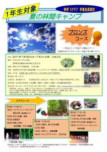林間キャンプ　ブロンズコース