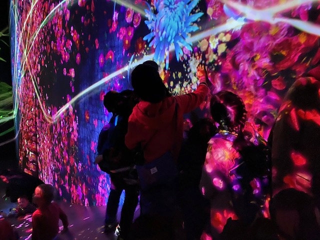 暗闇の中で幻想的な光の芸術！