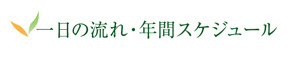 一日の流れ・年間スケジュール