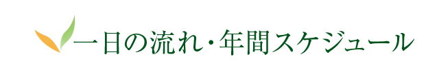 一日の流れ・年間スケジュール