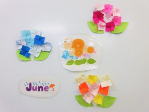 教室に可愛らしい紫陽花のお花が咲きました！