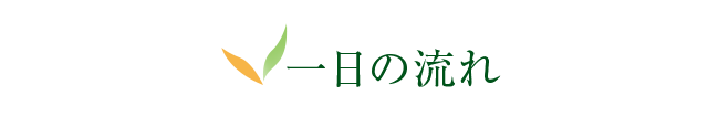 一日の流れ