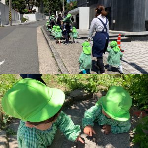 お散歩